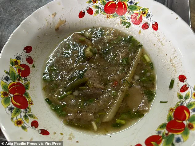 Exclusive: Inside the Tragic Mushroom Curry Incident That Shook Chiang Rai's Community