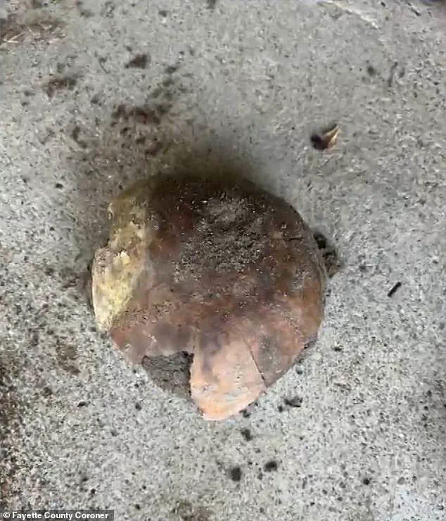 4,270-Year-Old Human Skull Fragment Discovered Along Indiana's Whitewater River