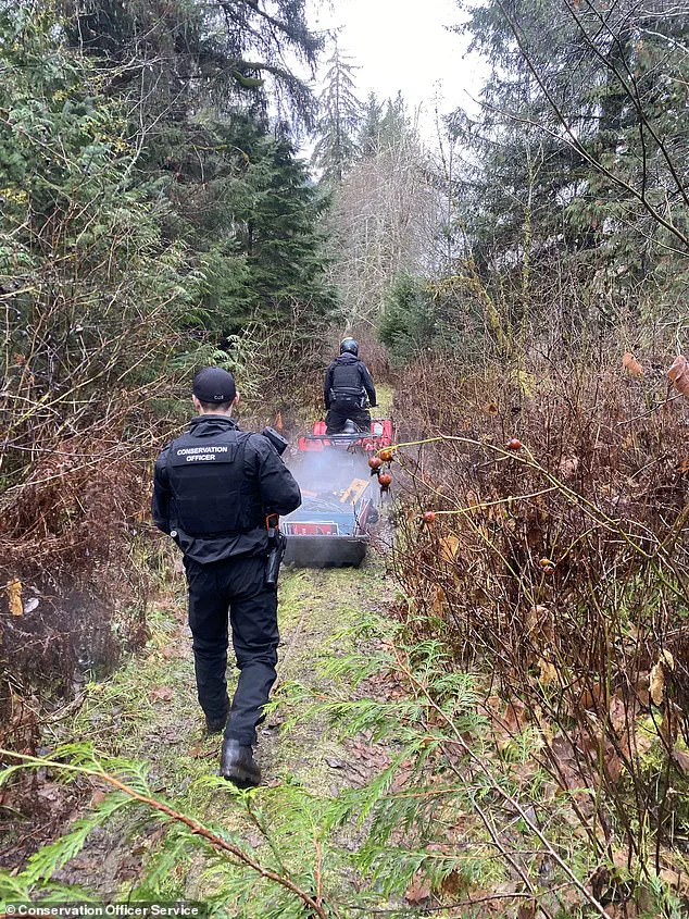 Grizzly Bear Still At Large After Attacking Canadian School, Leaving 11 Injured