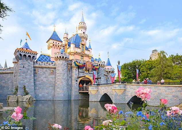 Disneyland Altercation Leaves Father with Facial Stitches, Highlighting Crowd Management Challenges