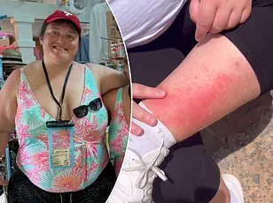 Disneyland Altercation Leaves Father with Facial Stitches, Highlighting Crowd Management Challenges