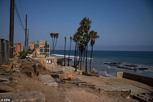 New Zealand Billionaires Acquire Malibu Wildfire-Destroyed Land Amid Rebuilding Struggles