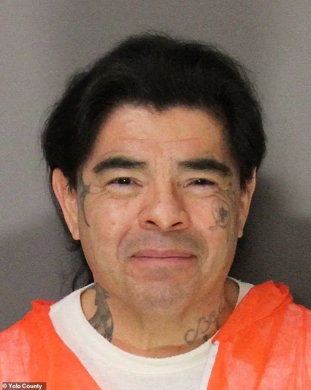 Government Legal System's Persistence Over Decades Leads to Conviction of Infants' Killer