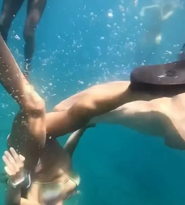 Harrowing Shark Encounter in Brazil's UNESCO Site Underlines Risks to Ecotourism