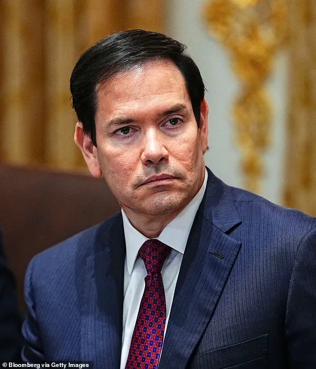 Reelected Trump's Social Media Endorsement of Marco Rubio for Cuba Presidency Sparks Speculation and Humor