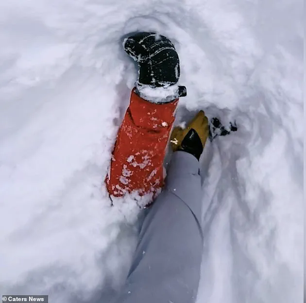Avalanche Rescue in Switzerland Demonstrates the Critical Importance of Emergency Training and Community Awareness