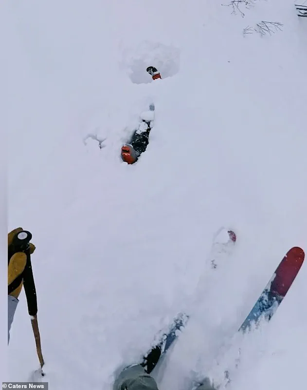 Avalanche Rescue in Switzerland Demonstrates the Critical Importance of Emergency Training and Community Awareness