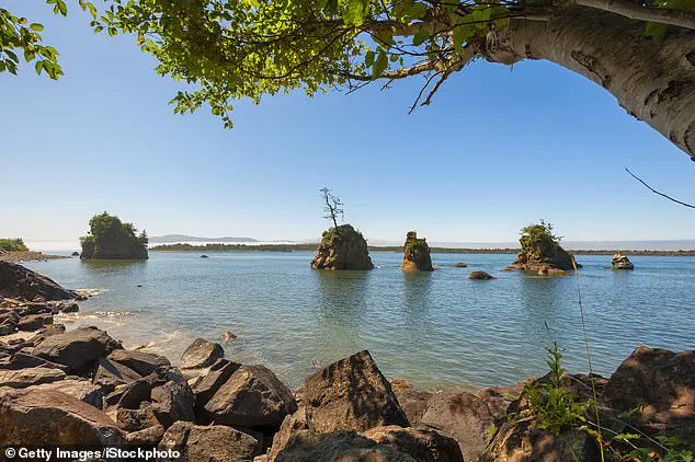 Decades-Long Mystery of Skeletal Remains Washed Ashore on Washington Beach Finally Solved: Identity Revealed as Clarence Edwin 'Ed' Asher, Former Mayor of Fossil, Oregon