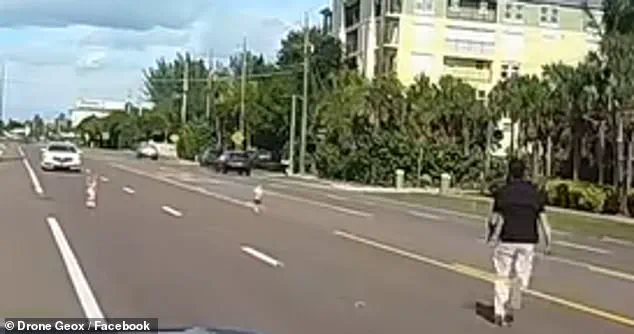 Viral Dash Cam Footage Shows Florida Father Rescuing Two Toddlers from Busy Highway