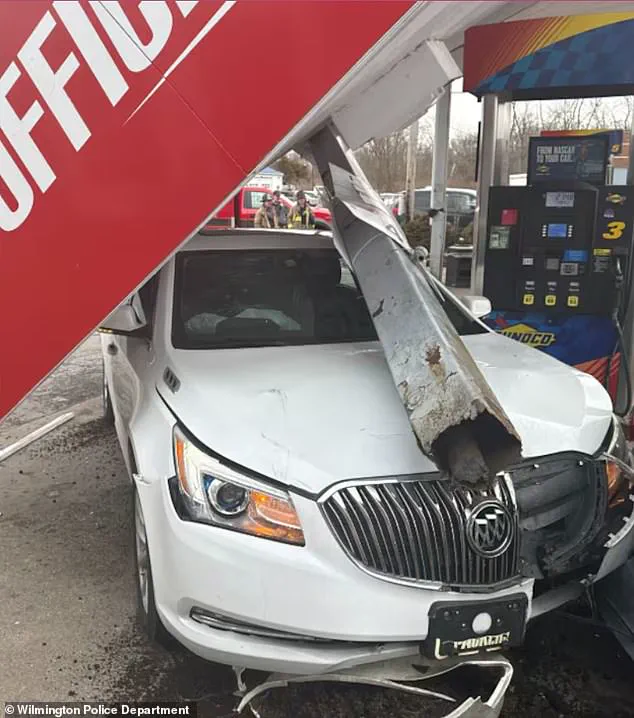 Ohio Woman's French Fry-Induced Accident Sparks Debate on Food Safety and Road Regulations