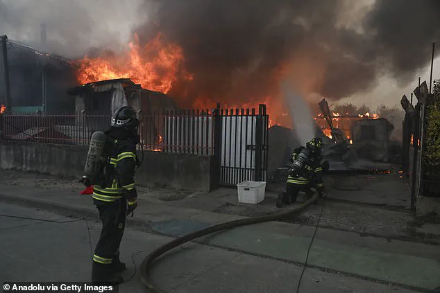 Chile's Wildfires Displace Thousands and Claim Lives in Worst Blazes in Years