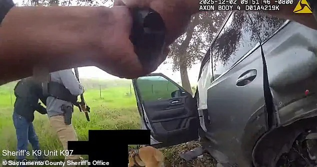 Elk Grove Tragedy Raises Questions on Mental Health, Law Enforcement Protocols, and Gun Access Risks