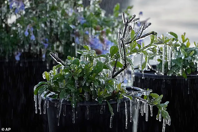 Meteorologists Warn of 'Bomb Cyclone' as 35 Million Americans Brace for Extreme Winter Storm Conditions