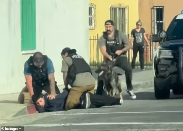 Viral Video Misunderstood as ICE Raid, Law Enforcement Reveals Complex Story
