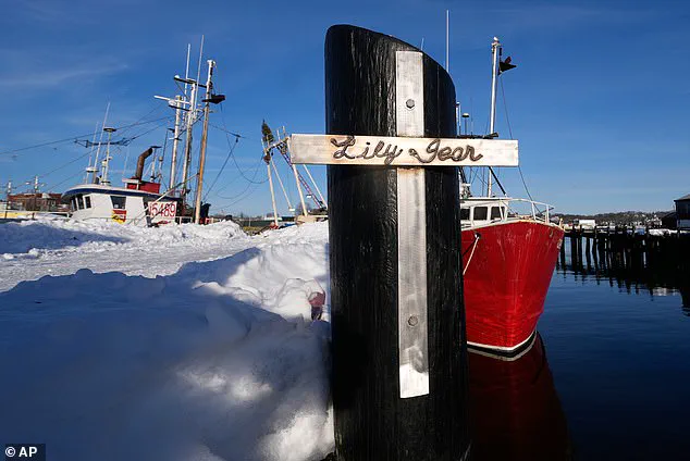 Seven Identified in Lily Jean Fishing Boat Tragedy