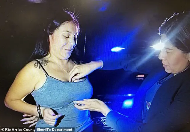 Civilian's Illegal Search During Traffic Stop Sparks Controversy