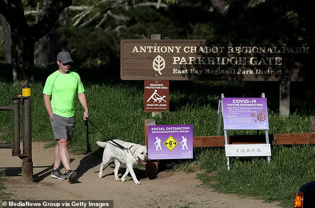 California Warns Against Foraging After Four Die From Death Cap Poisonings