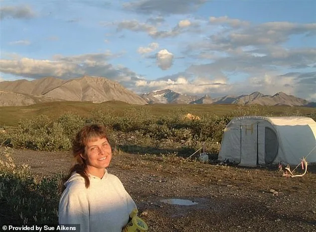 Surviving the Unimaginable: Susan Aikens' Alaska Journey from Grizzly Attack to Wilderness Survival