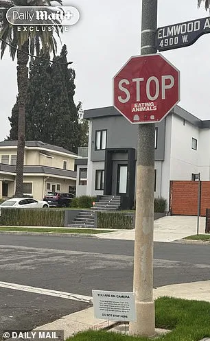 Glamour and Desperation Collide as Larchmont Faces a Surge in Sex Work