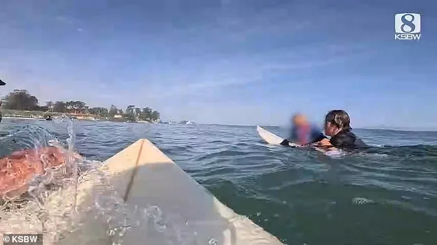Heroic Surfers Rescue Family After 12-Foot Wave Capsizes Boat Near Santa Cruz