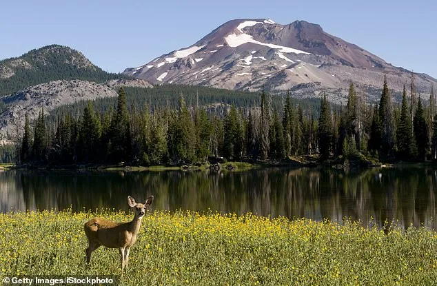 Oregon at a Crossroads: Ballot Initiative Sparks Debate Over Hunting, Fishing Ban and the Future of Conservation