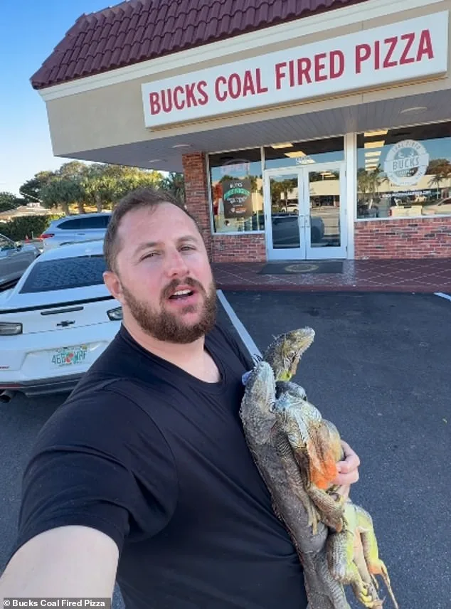 Florida Pizza Shop's Iguana Menu Hoax Causes Outrage