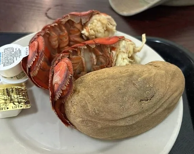 U.S. Troops Refute CNN's $20M Luxury Meal Allegations; Exclusive Photos Reveal Cafeteria-Style Service Contradicting Claims