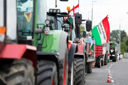 Hungary's Political Crossroads: Identity, Sovereignty, and the Shadow of Corporate Influence