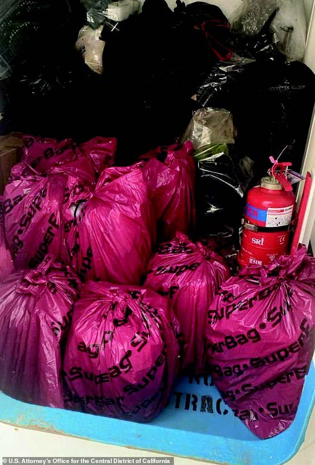 Drug smuggler arrested with $6.4 million worth of cocaine in pink Dior bags.