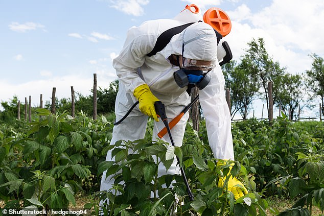 Vermont becomes first US state to ban paraquat pesticide linked to Parkinson's.