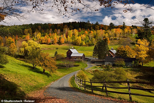 Vermont becomes first US state to ban paraquat pesticide linked to Parkinson's.